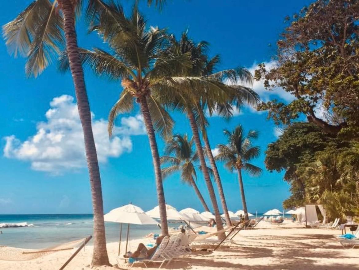 Sunbeds arranged by the sea near Sugar Bay Barbados