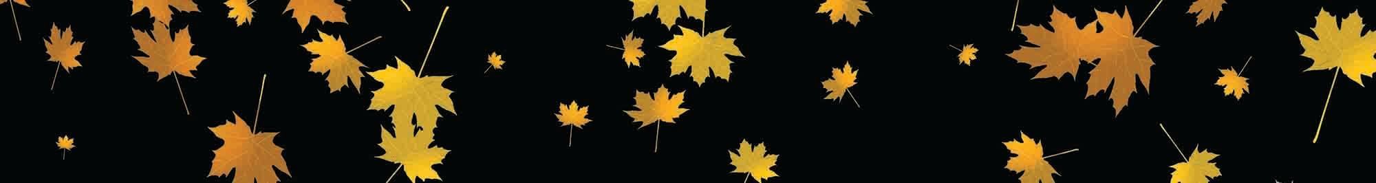 Background image used at Crown hotels Perth