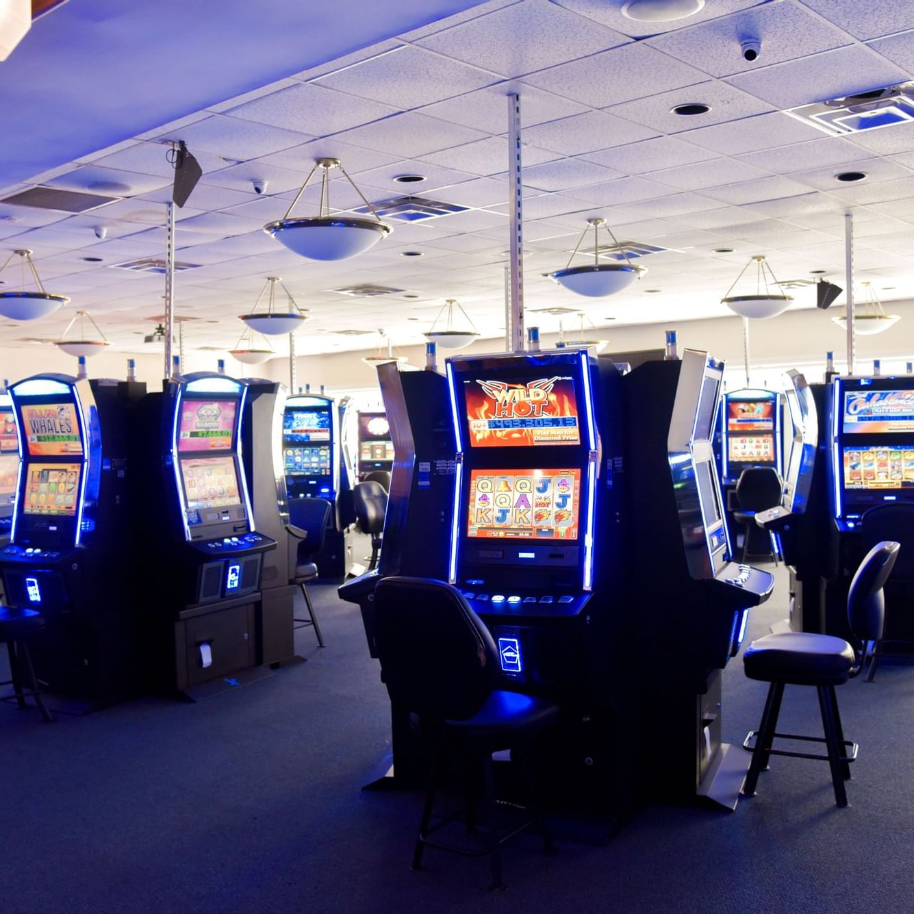 Stay & Play Package Hotel Offers at Rod ‘N’ Reel