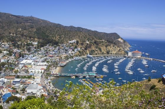 Aerial view the mountain ranges & docked boats near Catalina Island Company