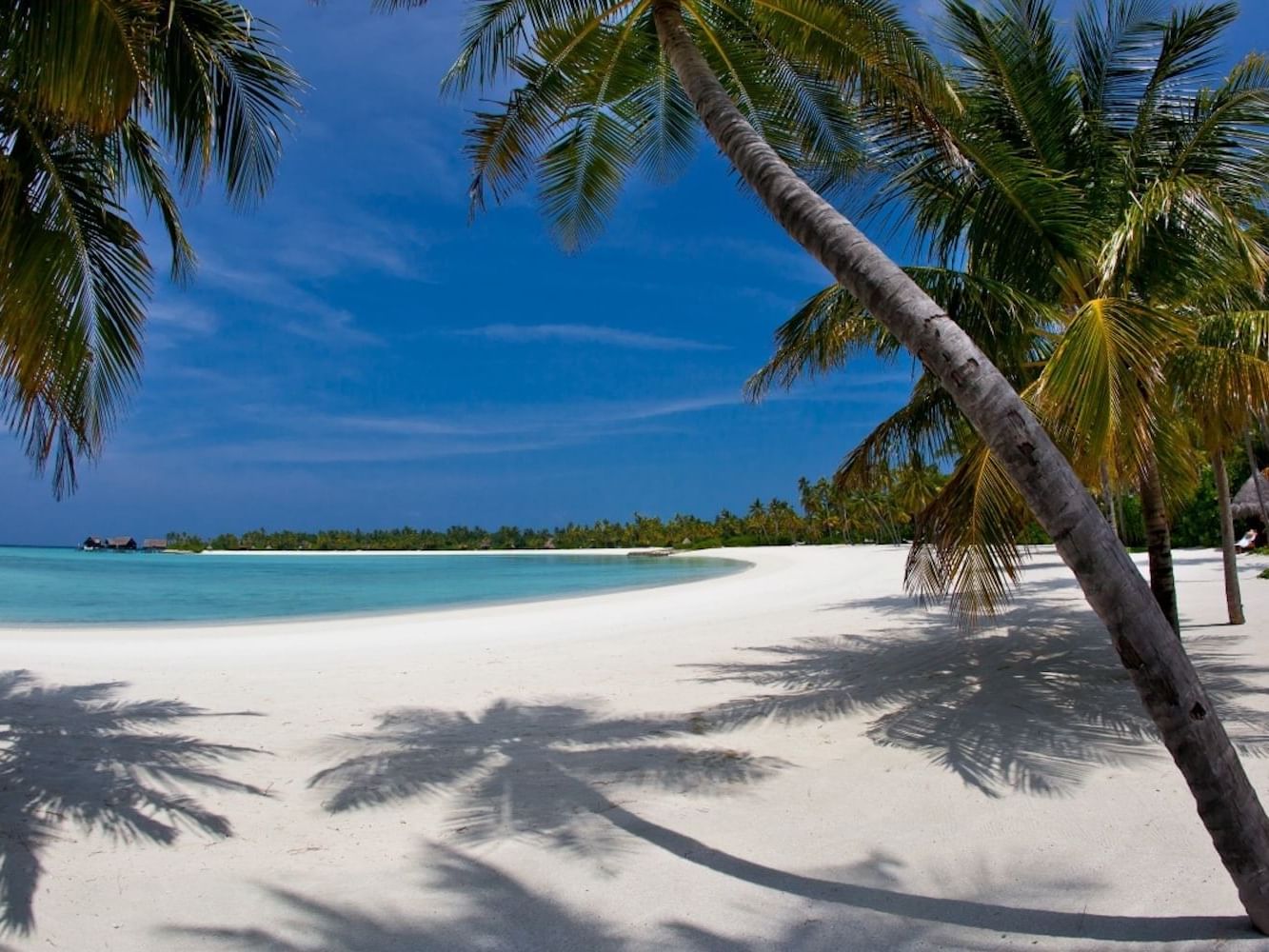 Mui Ne Beach near U Hotels and Resorts