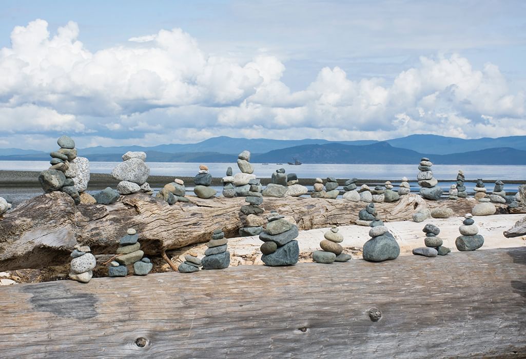 Rathtrevor Beach with rock sculptures