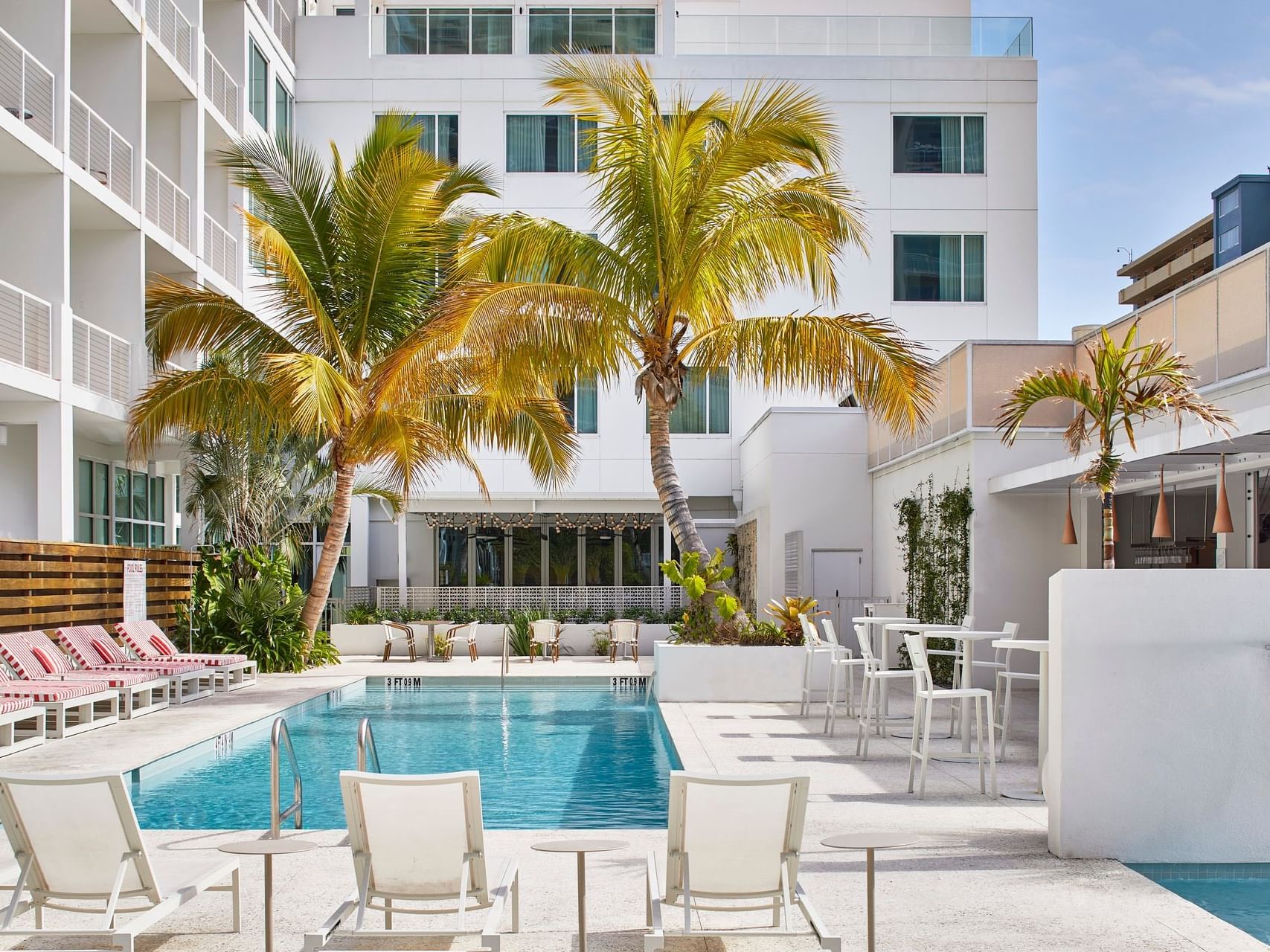 Pool Deck The Sarasota Modern 