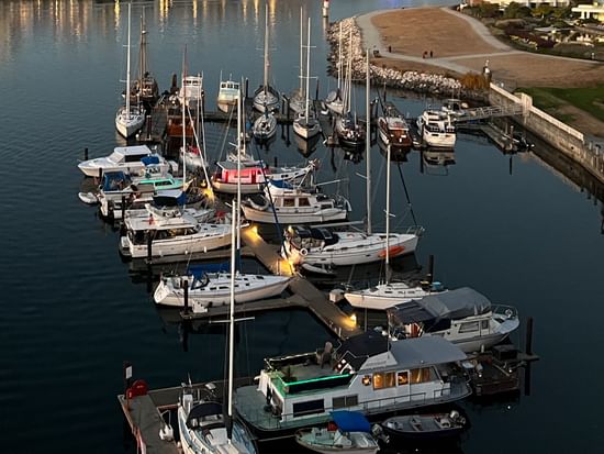 Marina with boats at Coast Victoria Hotel & Marina by APA