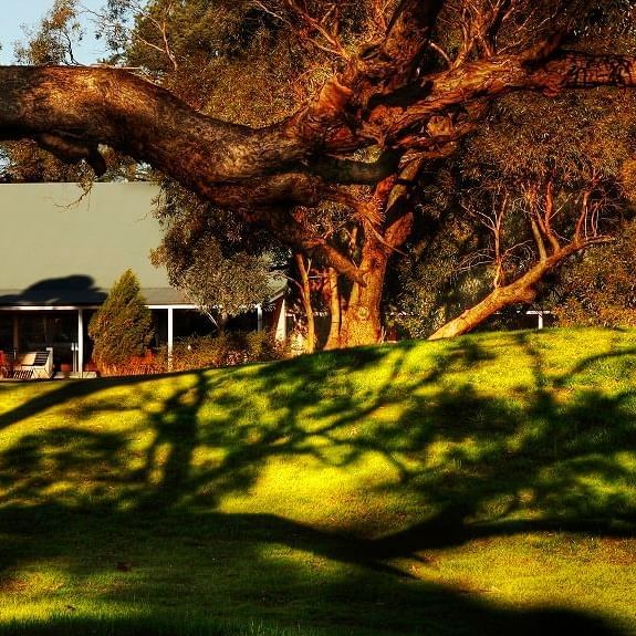 Exterior view of the golf club near Novotel Barossa Valley