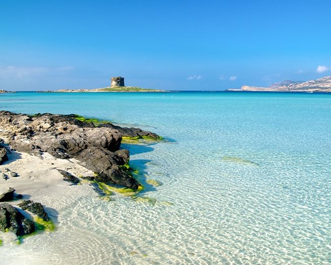Spiaggia La Pelosa Sardegna