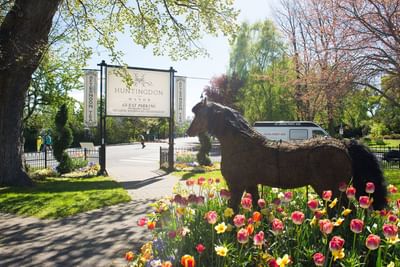 Horse statue by the hotel entrance bedded with flowers at Huntingdon Manor