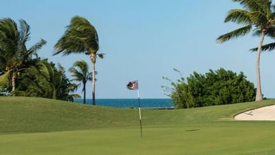 Golf flag fluttering on the green, framed by swaying palm trees and a serene blue ocean near The Residences at Seafire