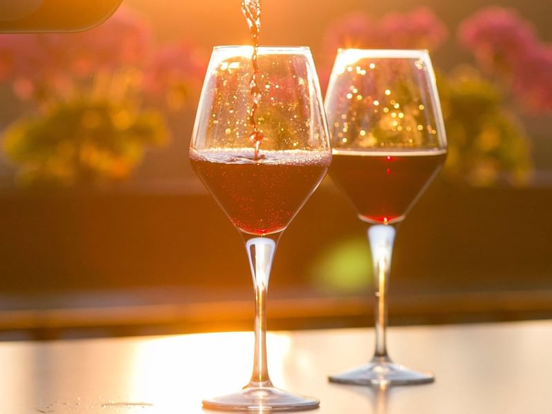 Cape Naturaliste Vineyard near Pullman Bunker Bay Resort