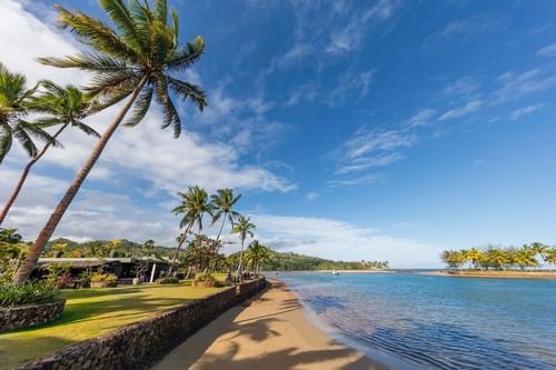 Beach with palm trees under a clear blue sky at The Naviti Resort - Fiji
