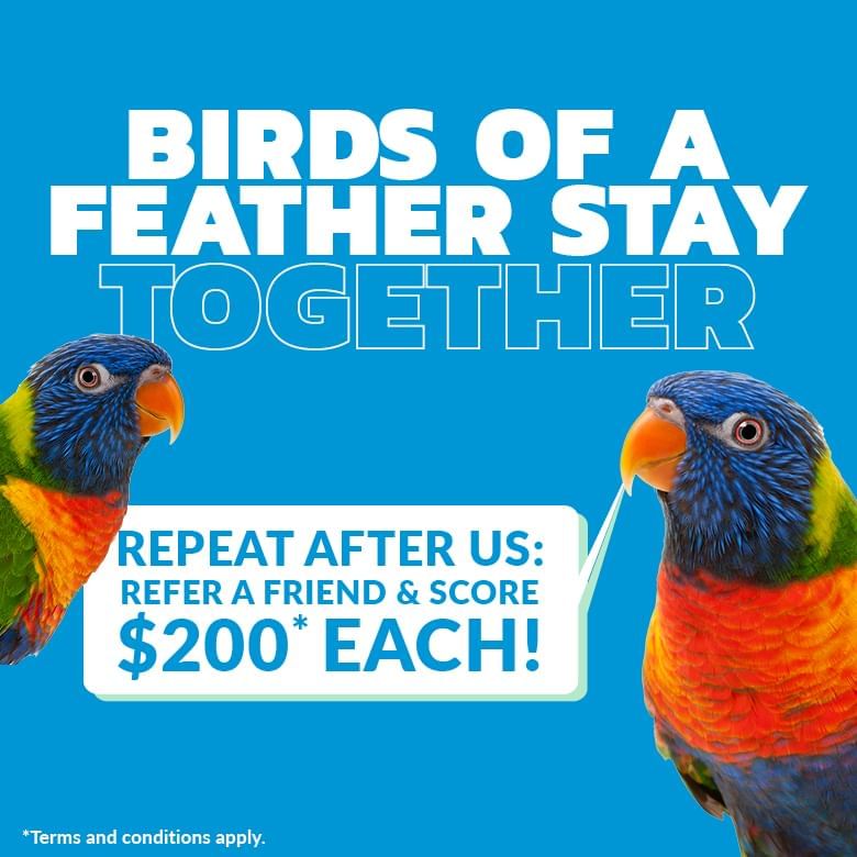 Birds of a Feather - Refer a Friend Offer @ UniLodge VU