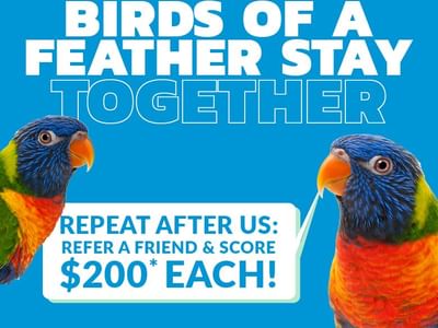 Birds of a Feather - Refer a Friend Offer @ UniLodge VU