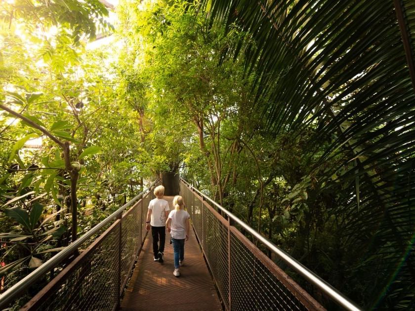 Two children walk hand-in-hand along a metal path at Papiliorama in Kerzers near Hotel des Innovations