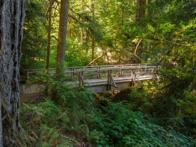 Bridge in a trail near Alderbrook Resort & Spa