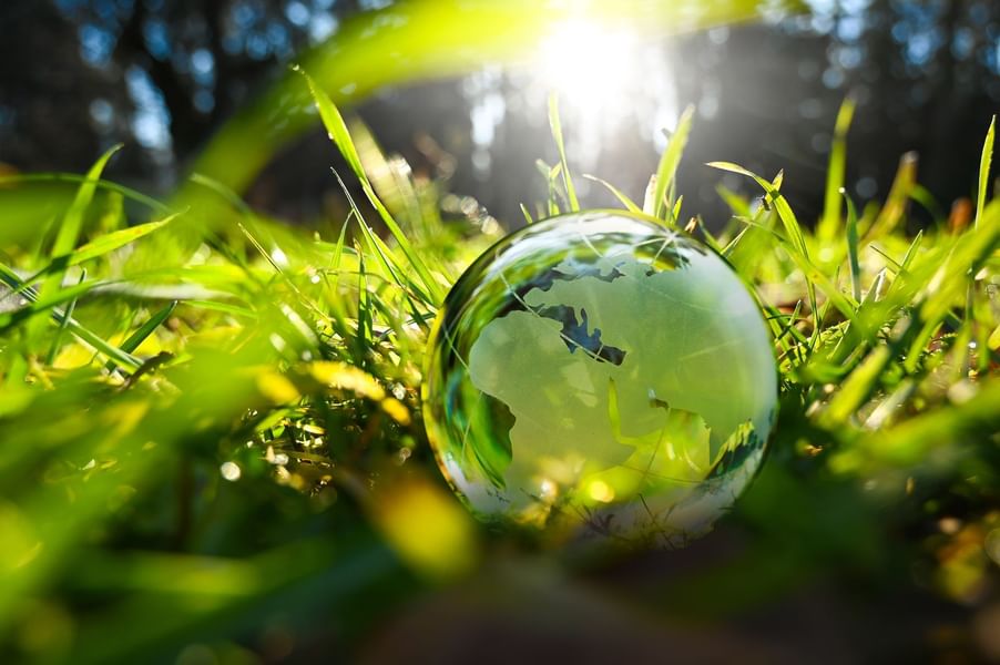 Glass globe with Earth design rests on green grass under bright sunlight near Warwick Corporate