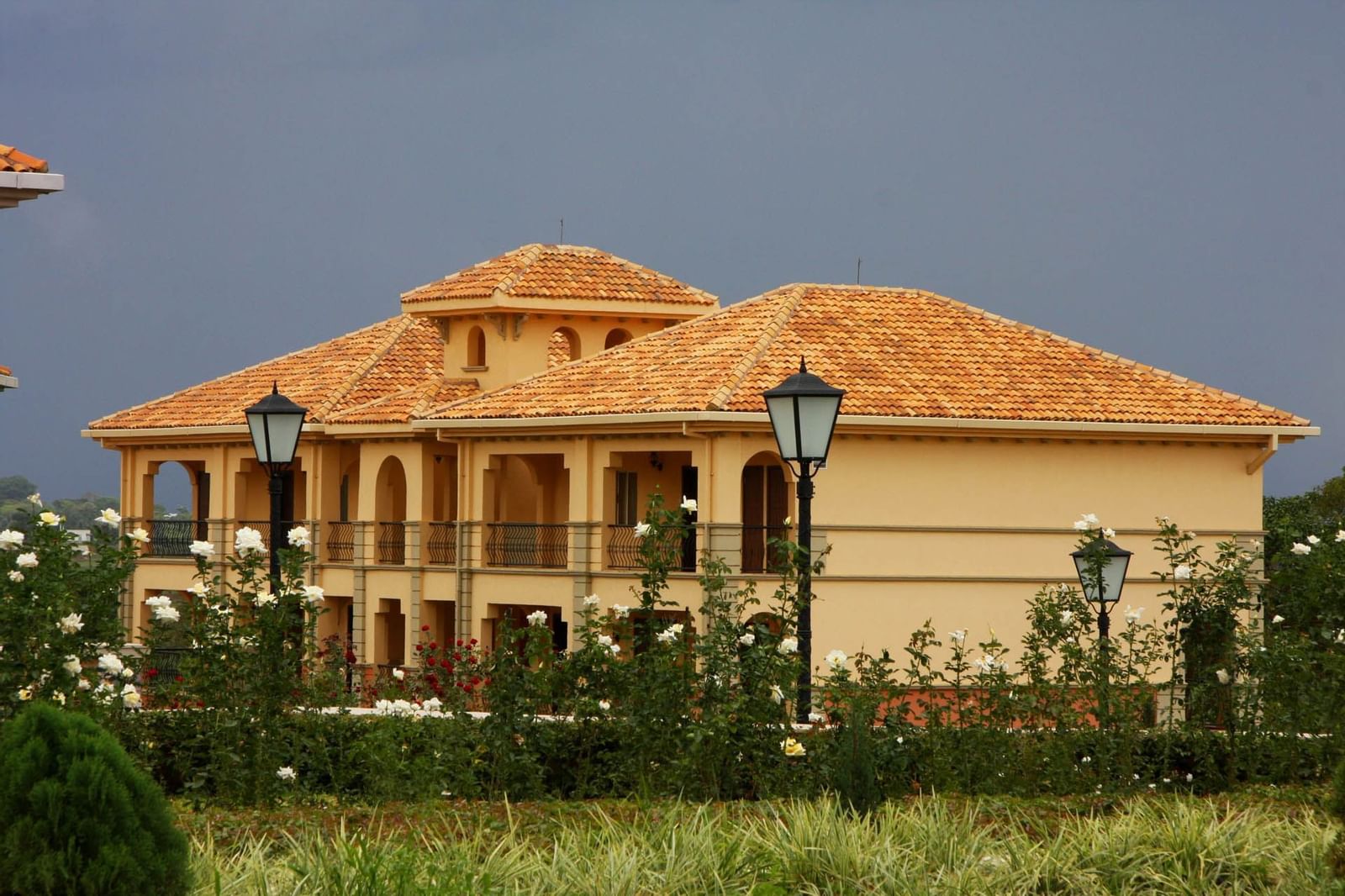 Ngamba Chimpanzee Sanctuary near Lake Victoria Serena Resort