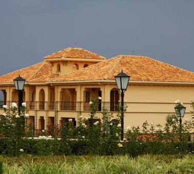 Ngamba Chimpanzee Sanctuary near Lake Victoria Serena Resort