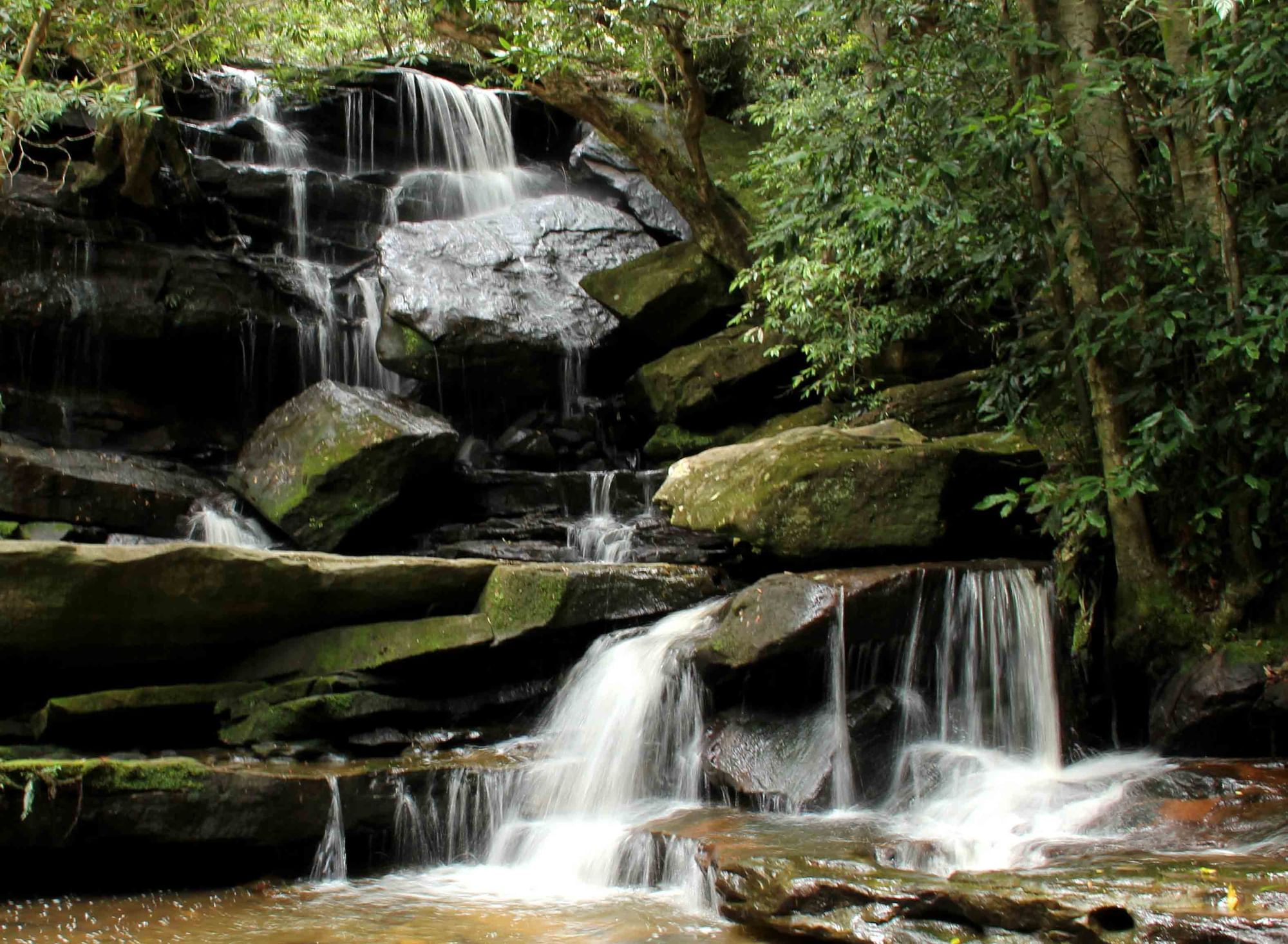 somersby falls walking track with cascading waterfall at nsw national park