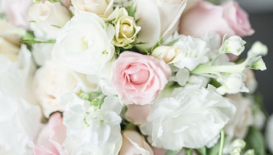 Close-up of a Rose Flower Bouquet at Villas Sol Beach Resort