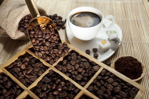 Close up on coffee seeds & a cup of coffee at Hotel Charleston