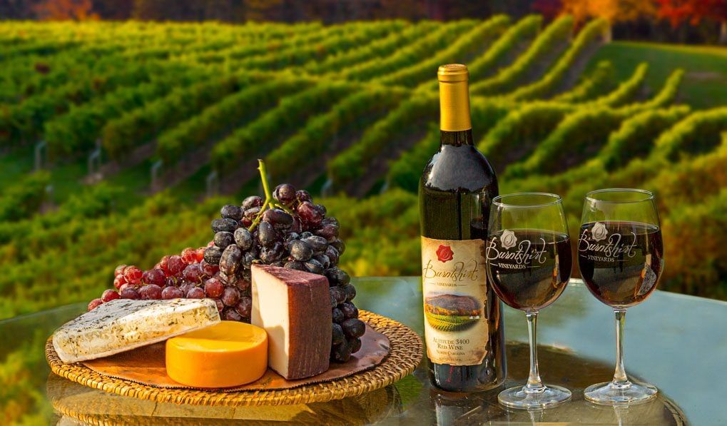 wine food tourism