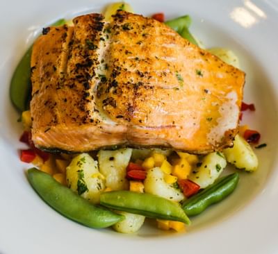 salmon on bed of vegetables