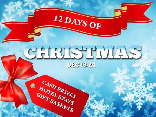 12 Days of Christmas