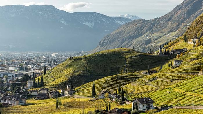 Panorama von Chur mit Weinbergen und Alpengipfeln im Hintergrund an einem sonnigen Tag.