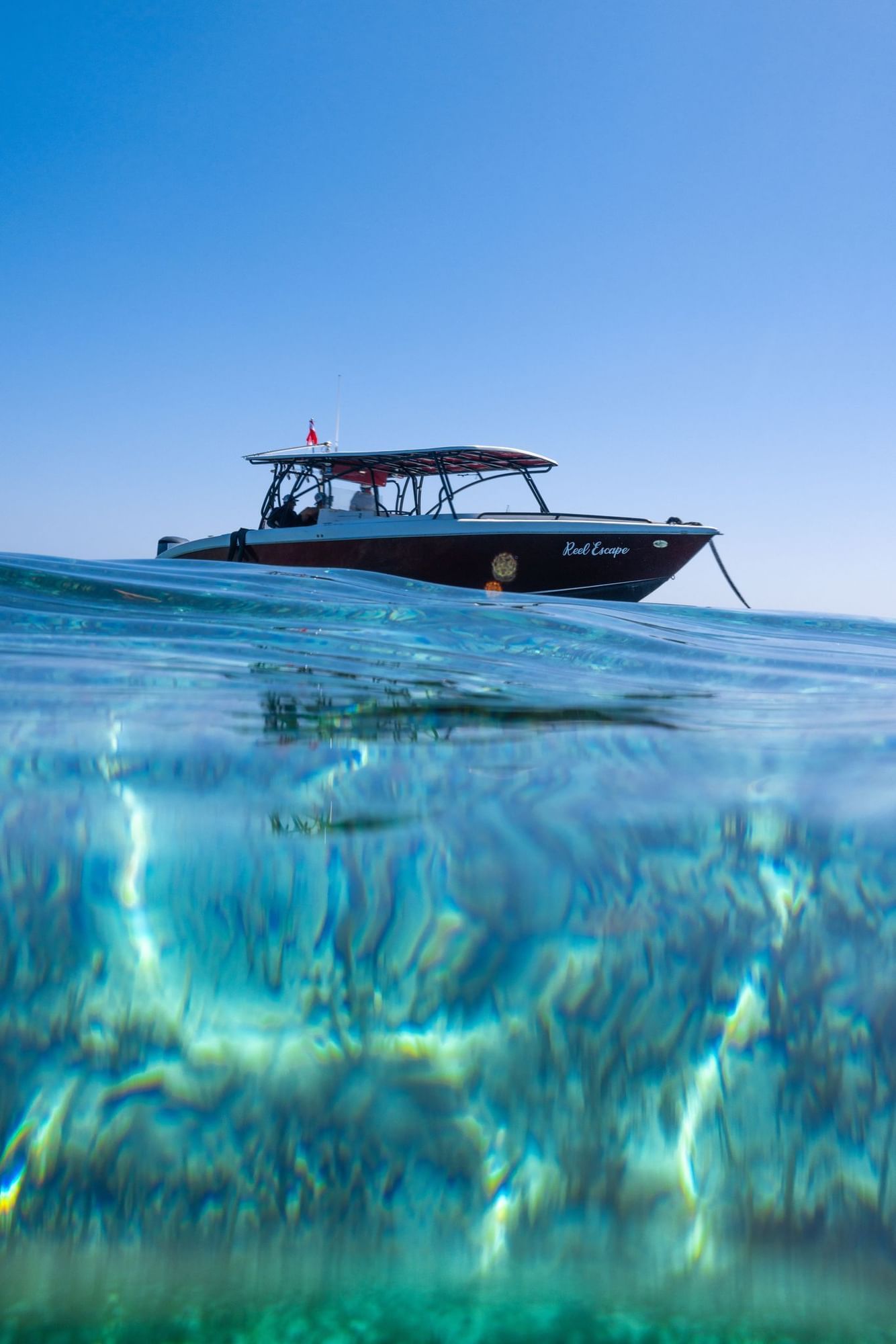 Excursions | Alaia Belize