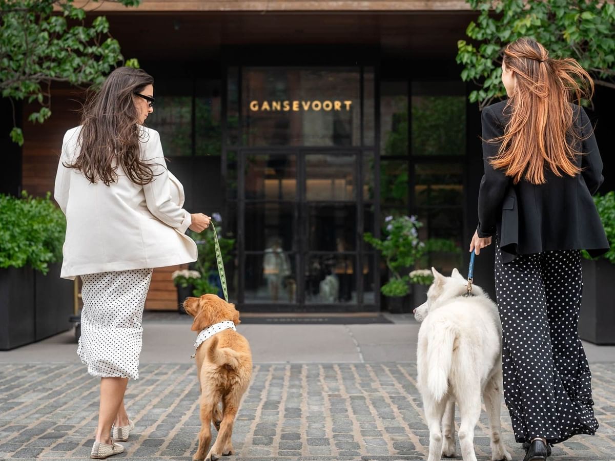 Two stylish women walking with a puppy and a white dog on leashes toward the luxury pet-friendly Gansevoort Hotel in NYC