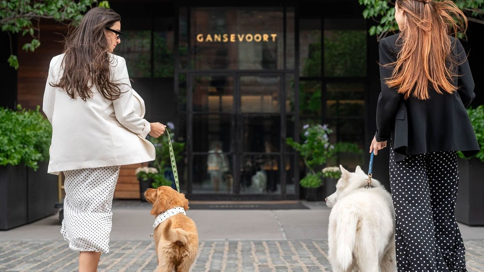 Two stylish women walking with a puppy and a white dog on leashes toward the luxury pet-friendly Gansevoort Hotel in NYC