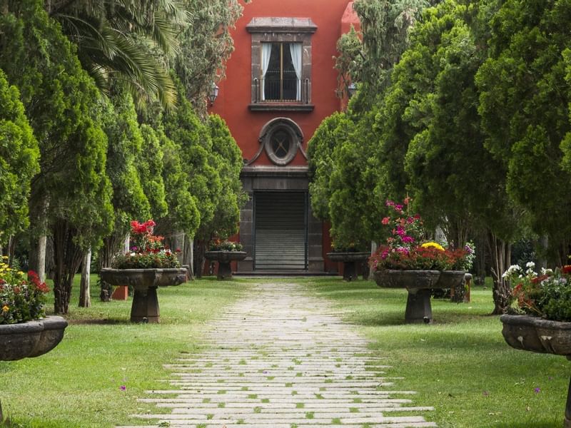 Trees along the pathway at Fiesta Americana Hacienda Galindo