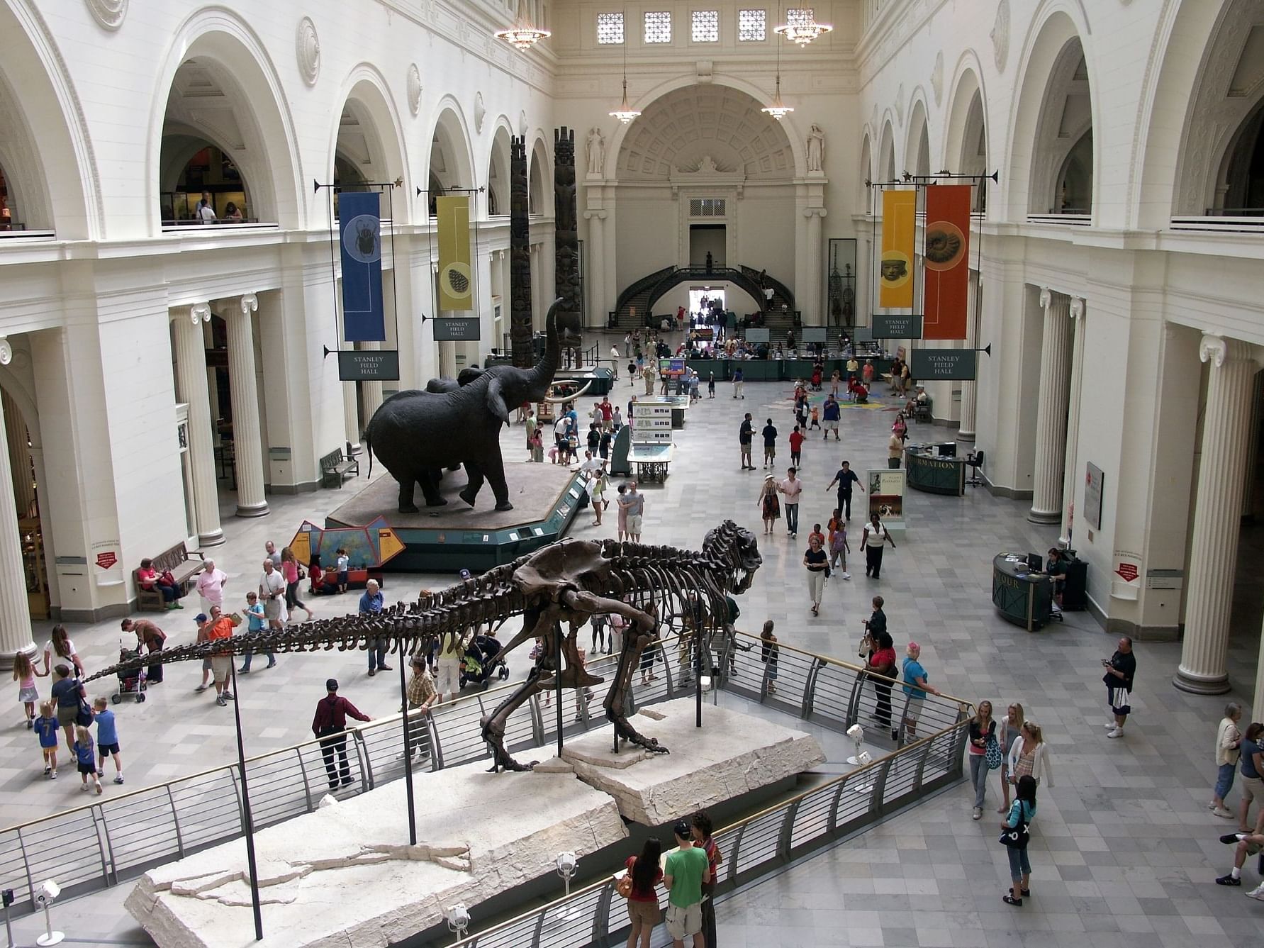 Interior view of the Field Museum near Hotel Saint Clair
