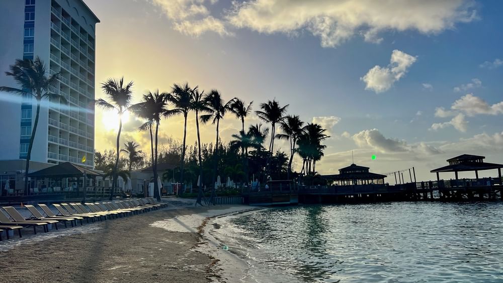 Golden sunset over a sandy beach by a row of lounge chairs and palm trees at Warwick Paradise Island Bahamas