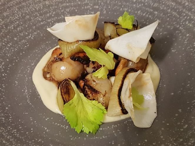 Close-up of seared Tasmanian scallops dish served at Freycinet Lodge