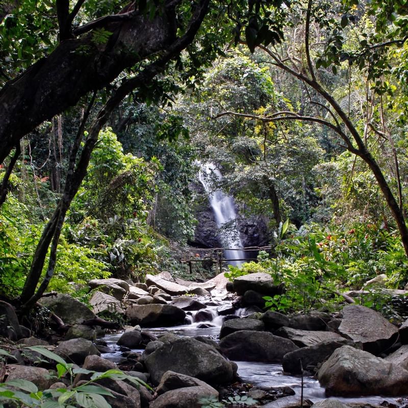 Barrière de Corail Fiji