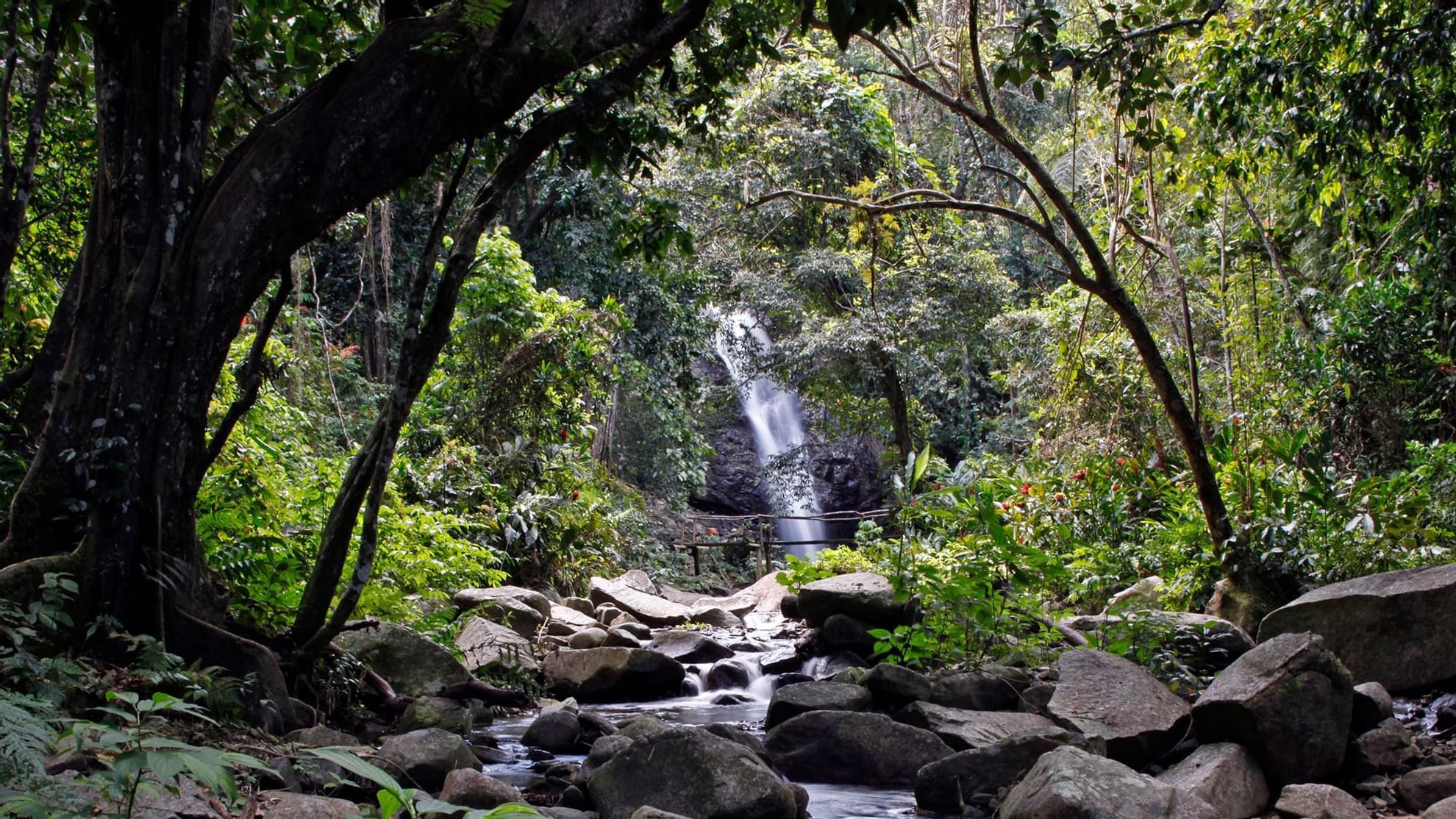 Barrière de Corail Fiji