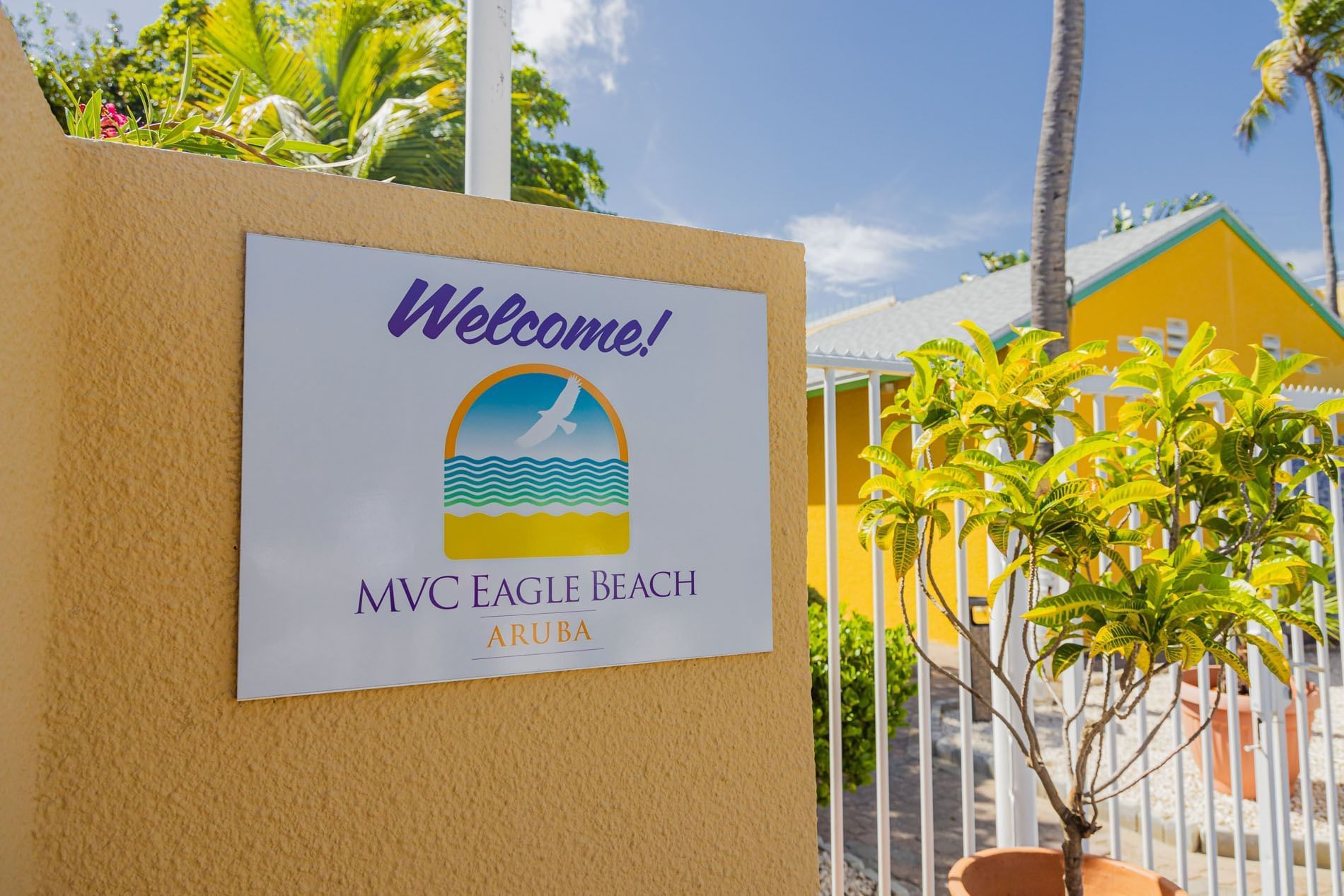 join-mvc-eagle-beach-aruba-s-team-careers-in-hospitality