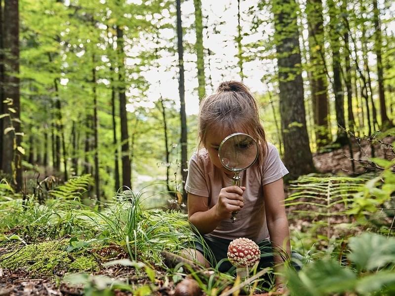 Girl examining a mushroom in forest near Falkensteiner Hotels