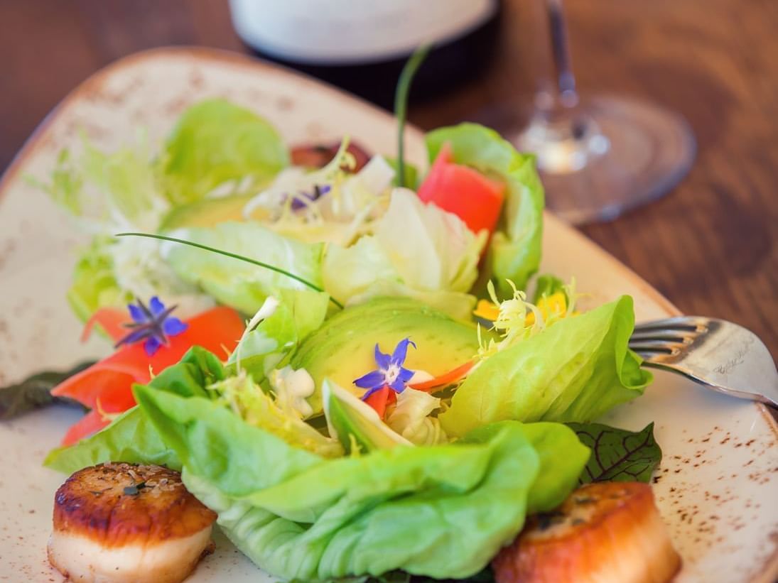 Scallop salad with wine glass and bottle of Allegretto wine