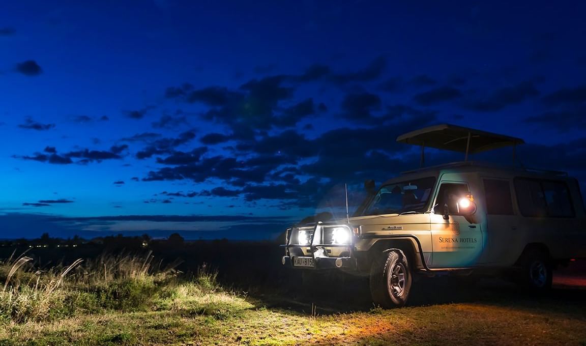 Night Game Drive
