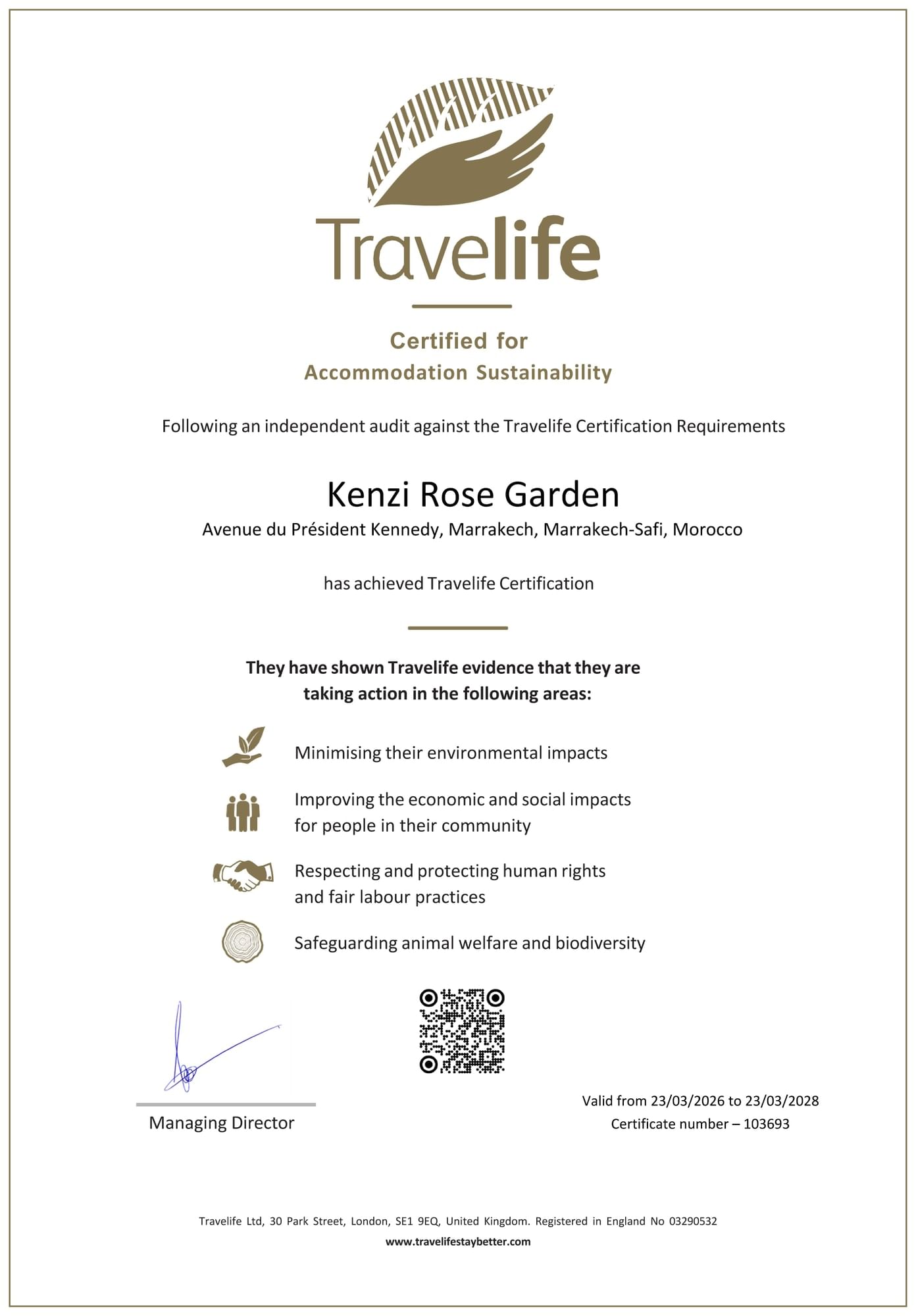 Travel Life