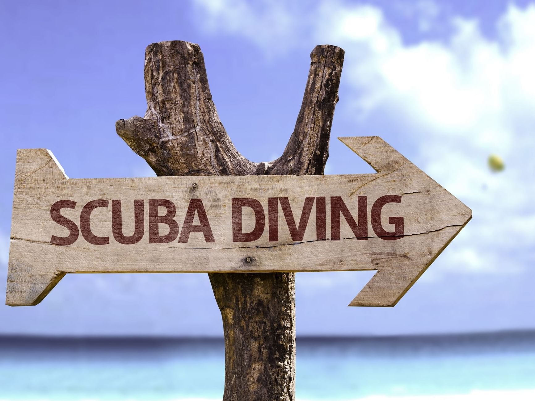 Direction arrow for scuba diving site at Daydream Island Resort