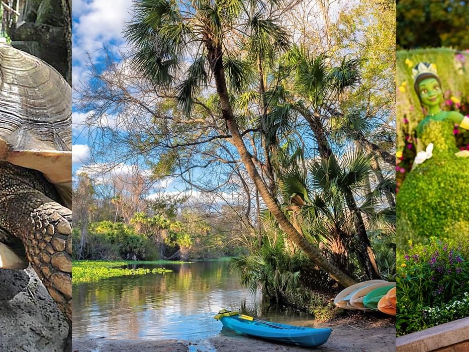 Celebrating Earth Day in Orlando