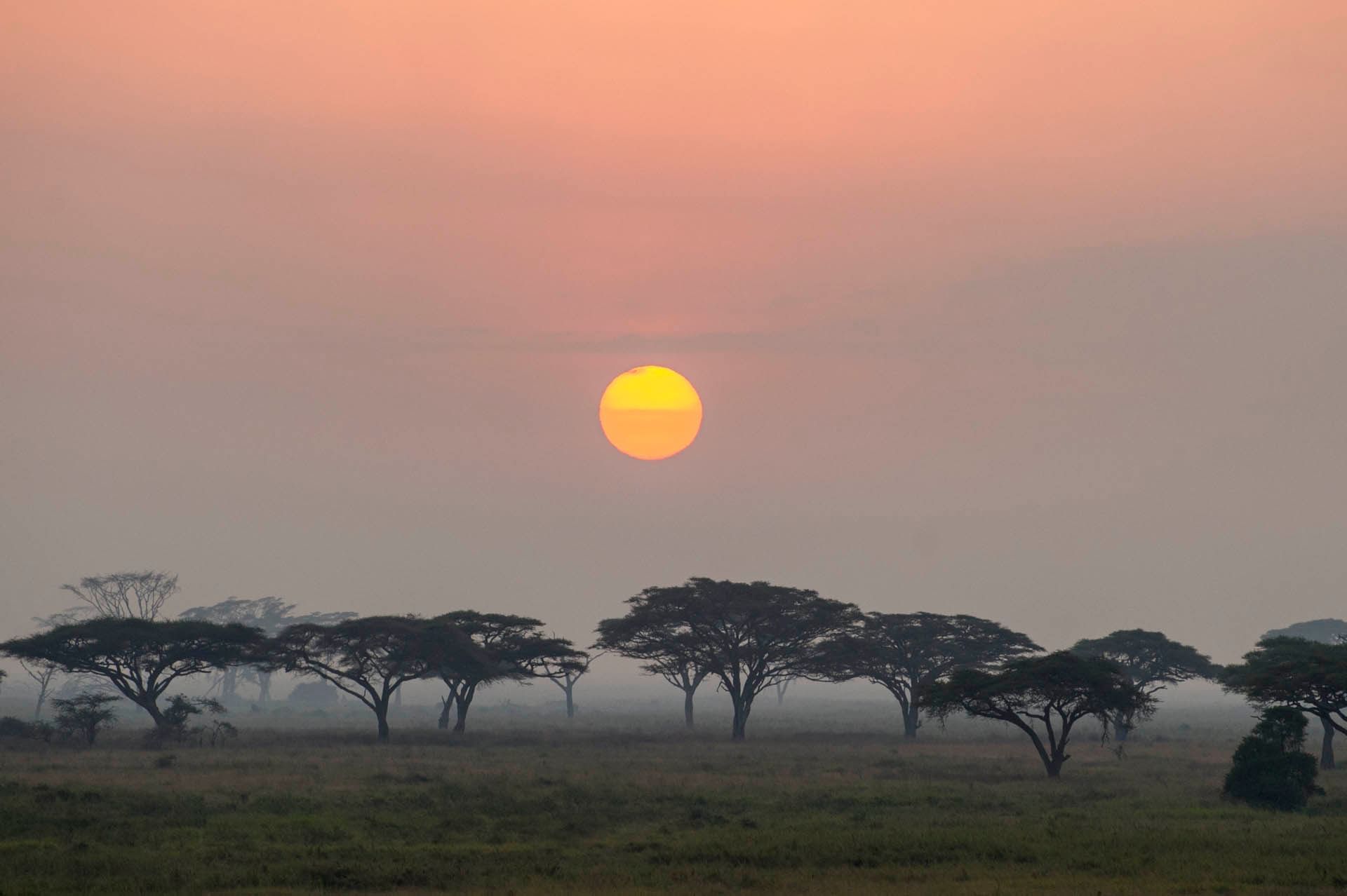 The Serengeti National Park near Serengeti Serena Safari Lodge