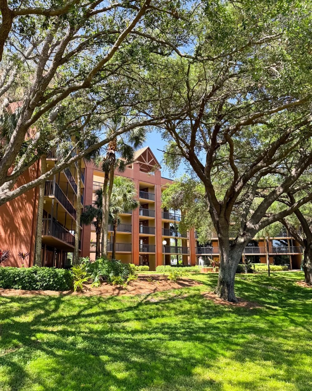 Beautiful trees providing shaded green grass with Rosen Inn Lake Buena Vista hotel in the background.