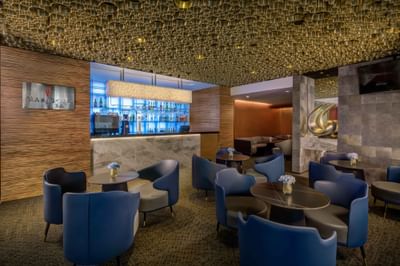 Tease your senses with creative cocktails and an extensive range of wines at Marigold Bar, Park Hotel Hong Kong