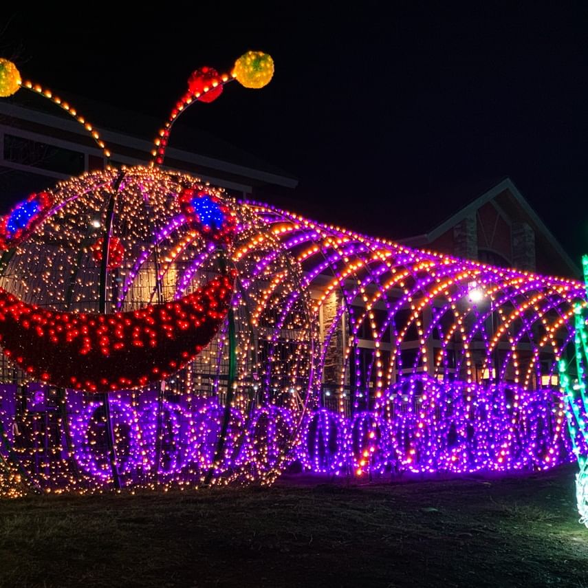 Things to do in December in Pigeon Forge