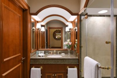 junior suite bathroom lateral view