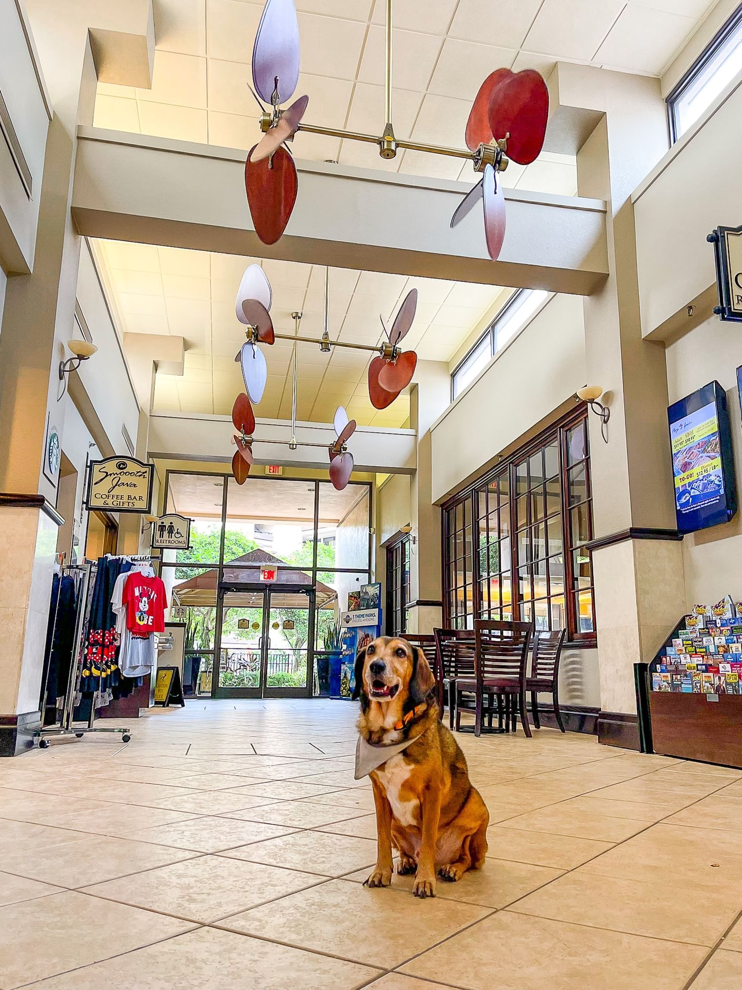 A dog in a bandana sits in a lobby area beneath large fans at Rosen Inn at Pointe Orlando.